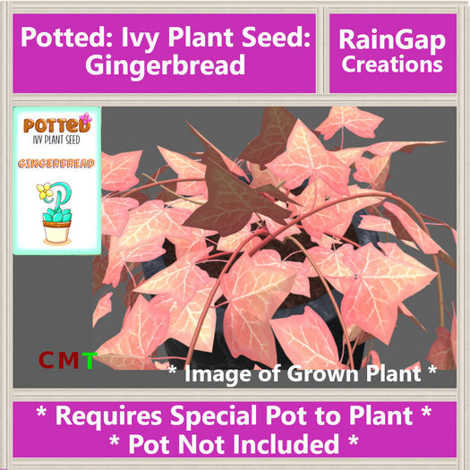 Second Life Marketplace Potted Ivy Plant Seed Gingerbread ACTUAL ITEM
